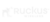 Ruckus logo 01